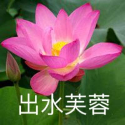 梦幻西游无双版手游360版下载